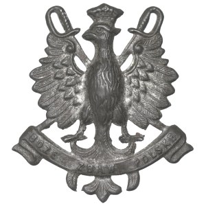 Poland, Patriotic eagle Lviv
