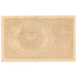 II RP, 1000 marek polskich 1919 AA