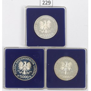 People's Republic of Poland, Set of 5,000 gold 1989 - silver