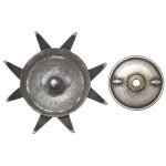 PSZnZ, Soldier badge of the 14th Armored Cavalry Regiment.