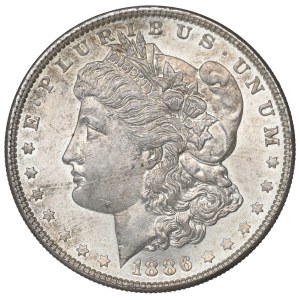 USA, Morgan dollar 1886
