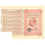 Second Polish Republic, National Company for the Construction and Operation of Automobiles, Em.1 Series I, 500 mkp 1920