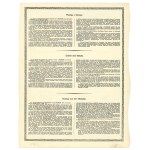 II Republic of Poland, Saturn Mining and Industrial Joint-Stock Society, Stock of 2,500 marks 1921