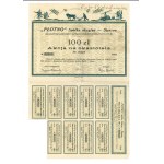 II RP, Spółka Akcyjna Płótno Stęszew/Poznań, share 100 zl.