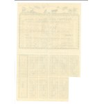 II RP, Spółka Akcyjna Płótno Stęszew/Poznań, share 100 zl.