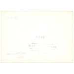 II RP, Photo Rydz-Smigly with officers of SGO Silesia