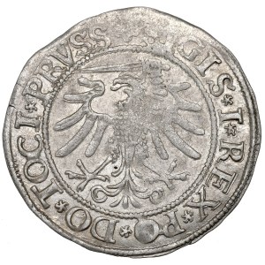 Sigismund I the Old, Groschen 1533, Elbing