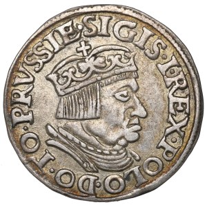 Sigismund I. der Alte, Trojak 1536, Gdańsk