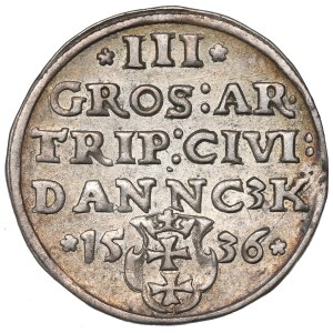 Sigismund I. der Alte, Trojak 1536, Gdańsk