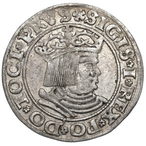 Sigismund I the Old, Groschen 1530, Thorn