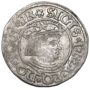 Sigismund I, Groschen 1534, Danzig