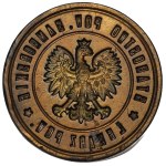 II RP, Typotype District Physician Sambor - Mint