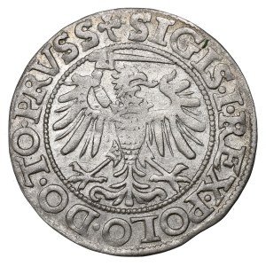 Sigismund I The Old, Groschen 1539, Elbing