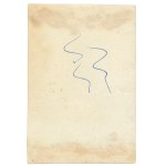 II RP, Photo Lieutenant - 68th Infantry Regiment