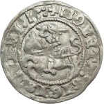 Sigismund I the Old, Half-grosz 1513, Vilnius - beautiful