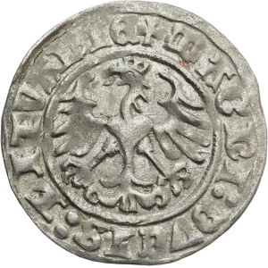 Sigismund I. der Alte, Halbpfennig 1513, Vilnius - schön
