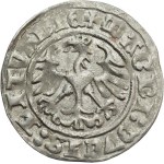 Sigismund I the Old, Half-grosz 1513, Vilnius - beautiful