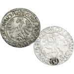 Sigismund II Augustus, half-grosz 1566, Tykocin, large Jastrzębiec - RARE