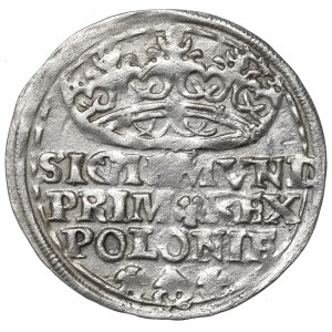Sigismund I the Old, Grosz 1529, Kraków