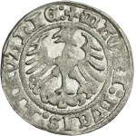 Sigismund I the Old, half-grosz 1513, Vilnius - rare