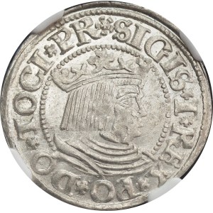 Sigismund I the Old, Grosz 1532, Gdańsk - NGC MS63 MAX