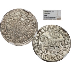 Sigismund II Augustus, Half-grosz 1556, Vilnius, LI/LITVA - NGC MS64