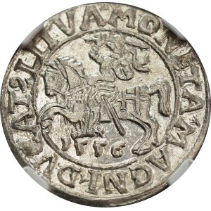 Sigismund II Augustus, Half-grosz 1556, Vilnius, LI/LITVA - NGC MS64