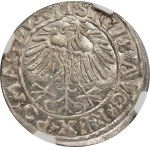 Sigismund II Augustus, Half-grosz 1556, Vilnius, LI/LITVA - NGC MS64