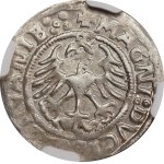 Sigismund I the Old, Half-grosz 1521, Vilnius - NGC MS64 MAX