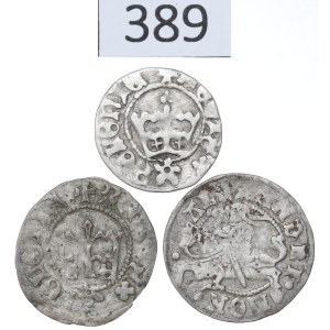 The Last Jagiellons, Set of Half-Groszy