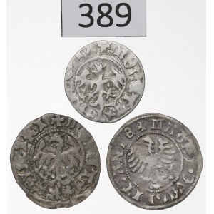 The Last Jagiellons, Set of Half-Groszy