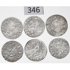 Alexander Jagellon, lot of Halfgroats without date, Vilnius