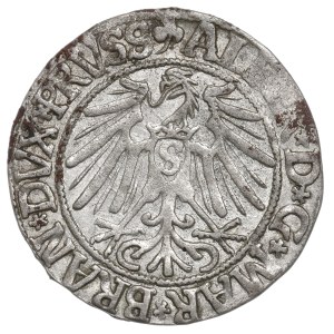 Germany, Preussen, Albrecht Hohenzollern, Groschen 1543, Konigsberg
