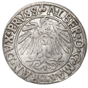 Prusy Książęce, Albrecht Hohenzollern, Grosz 1541, Królewiec