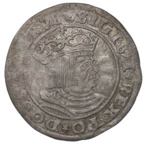Sigismund I the Old, Groschen for Prussia 1529, Thorn