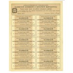 Joint-Stock Company of the Kalisz Velvet Factory, 250 rubles, 1913