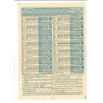 Warsaw-Vienna Railway Company, 625 rubles, 1894