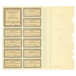 "BORUTA" Chemical Industry, S.A., in Zgierz—1/5 share, 1938—unnumbered certificate