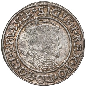 Sigismund I the Old, Groschen for Prussia 1535, Thorn
