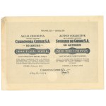 Chybie Sugar Refinery, S.A. 10 shares at 1,000 marks each — 1924