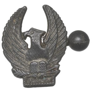 USA, Fraternal Order of Eagles Badge