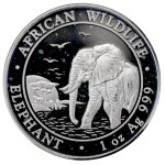 Somalia, 100 szyllingów 2010 - 1 oz Ag