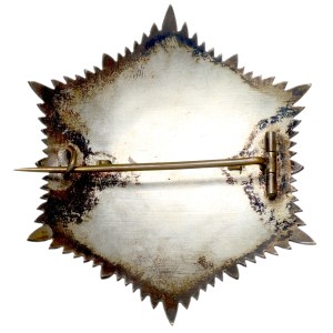 Belgium, Star of the Academy of Sciences and Industrial Arts