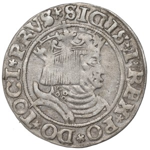 Zygmunt I Stary, Grosz dla ziem pruskich 1531, Toruń