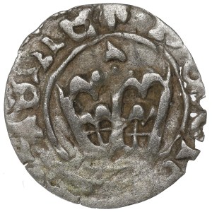 Counterfeiting from the Era of the Half-Kroner