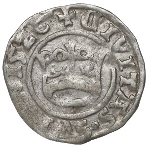Schlesien, Świdnica, Półgrosz 1526