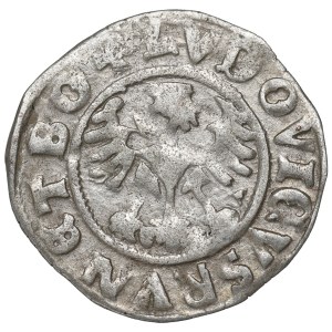 Schlesien, Świdnica, Półgrosz 1526