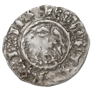 Casimir the Jagellon, Halfgroat without date, Cracow