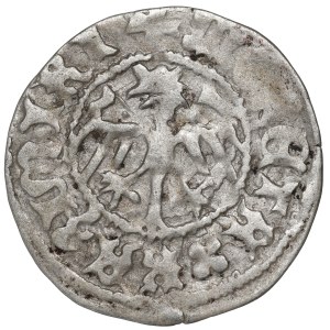 Casimir the Jagellon, Halfgroat without date, Cracow