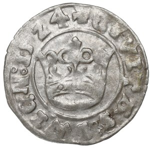 Śląsk, Świdnica, Półgrosz 1524